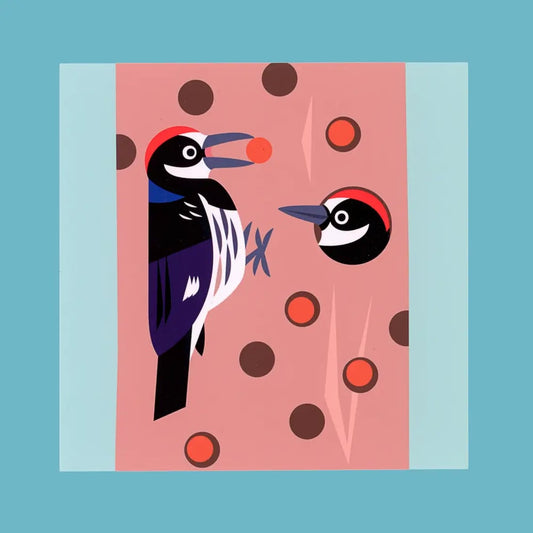 Acorn Woodpeckers Postcard Print