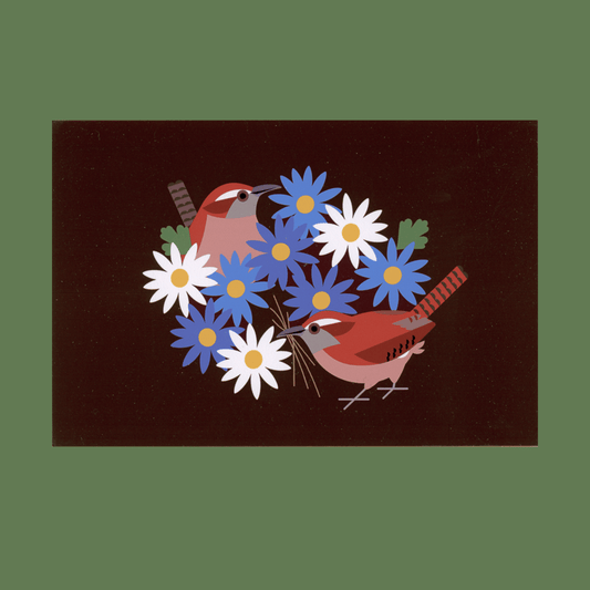 Carolina Wrens Postcard Print