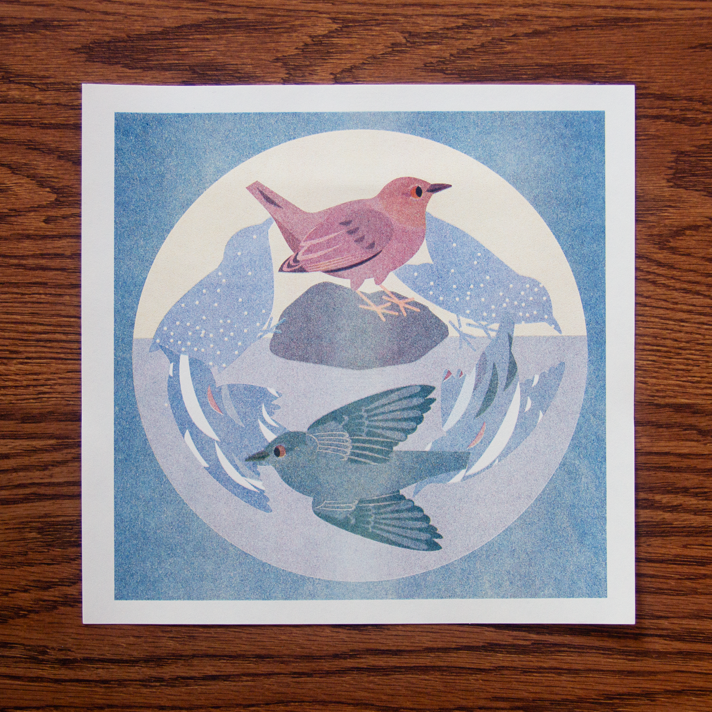 American Dipper Risograph Print