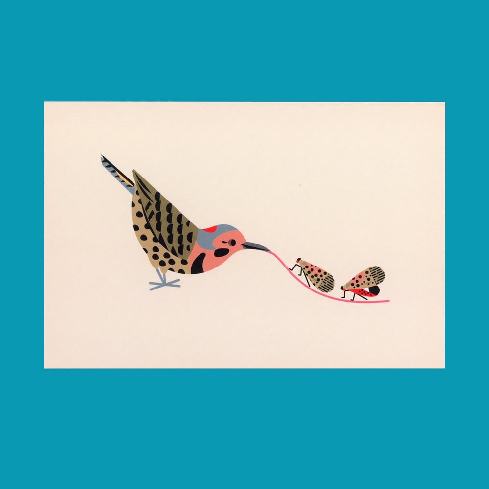 Northern Flicker & Lanternflies Postcard Print