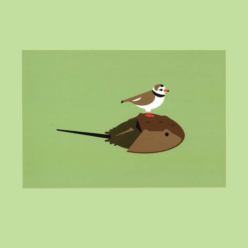 Plover & Pal Postcard Print