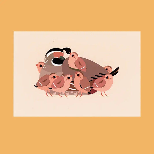 Quail Family Postcard Print