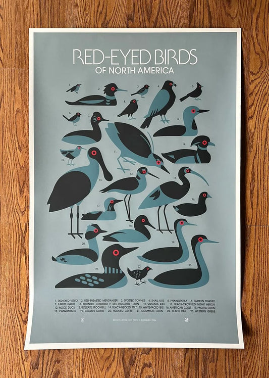 Red-Eyed Birds Silkscreen Print