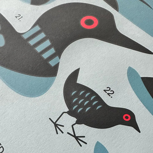 Red-Eyed Birds Silkscreen Print