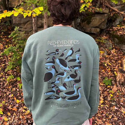 Red-Eyed Birds Sweatshirt