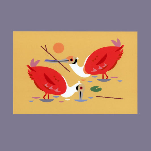 Spoonbill Summer Postcard Print