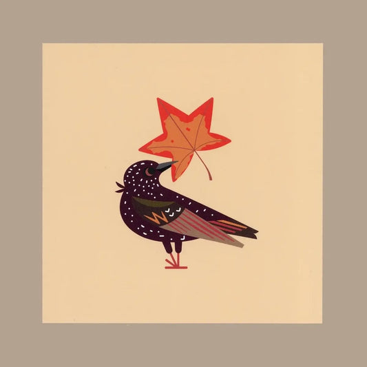 Starling’s Star Postcard Print