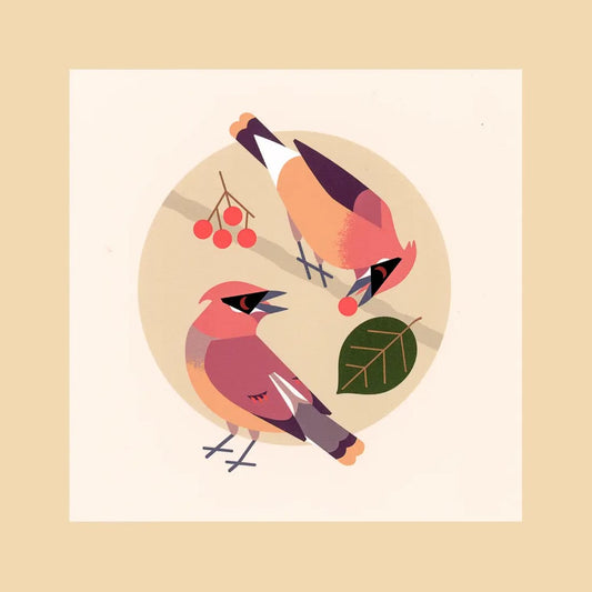 Cedar Waxwings Postcard Print