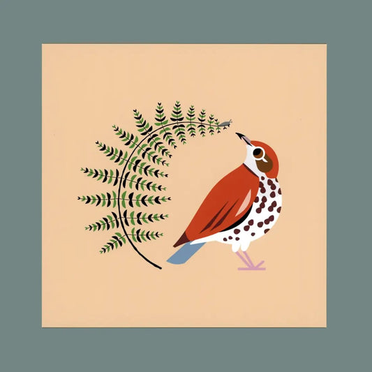 Wood Thrush Postcard Print